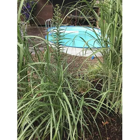 아파트 Charming In Husum 함부렌