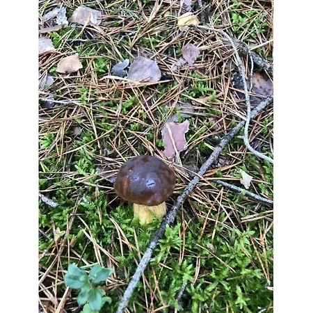 Charming In Husum 아파트 *