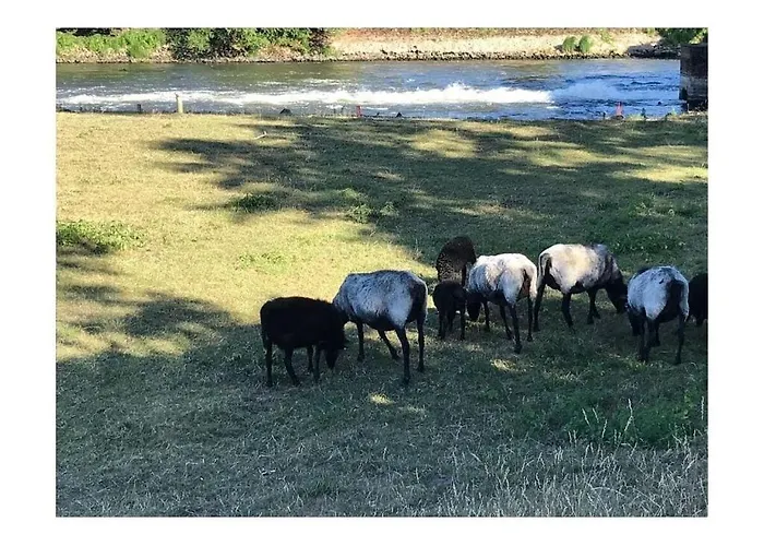 Апартаменты Charming In Husum Hambuhren