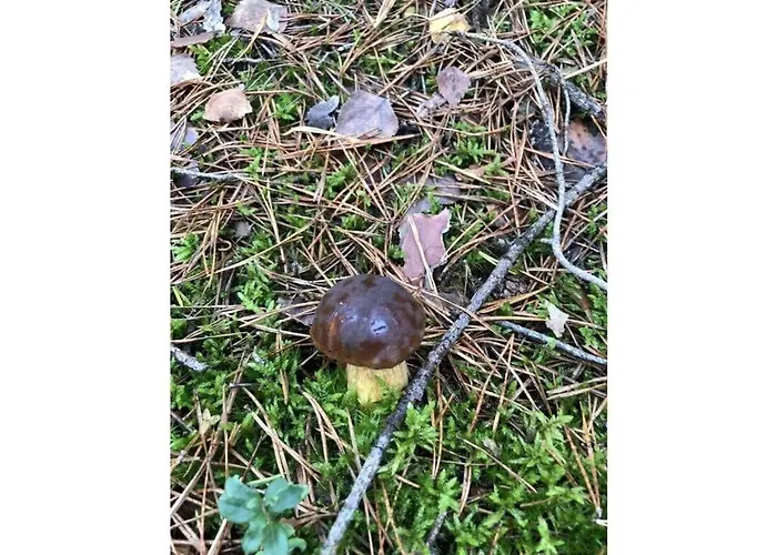 Charming In Husum Апартаменты *